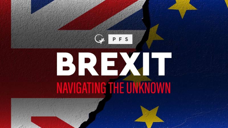 Brexit - Navigating the Unknown - Report