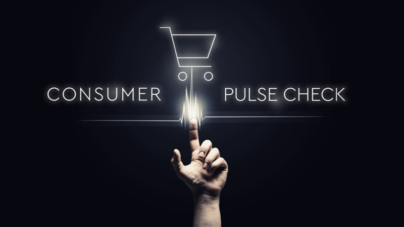 Consumer Pulse Check - Report